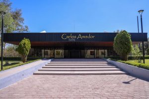 Gobierno estatal abre galería de arte gratuita en el parque Tangamanga
