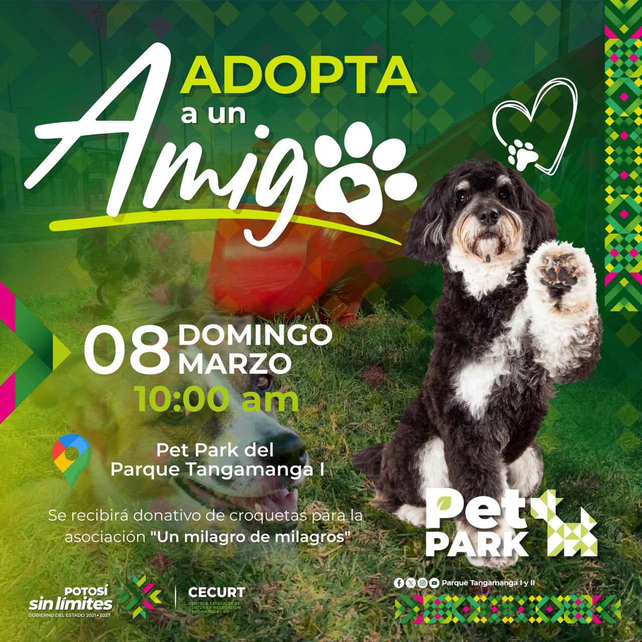 Parque Tangamanga I impulsa cultura y bienestar este fin de semana
