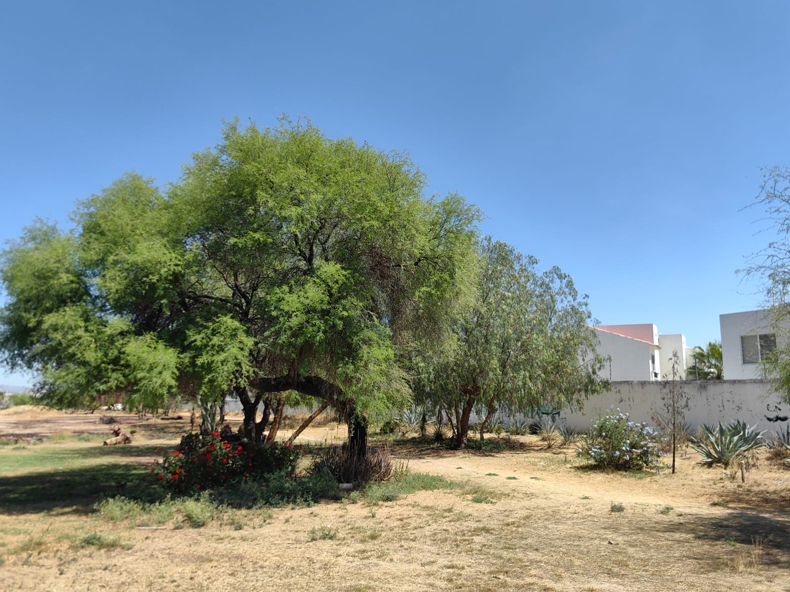 Comité de Puerta de Piedra desmiente declaraciones del Alcalde Enrique Galindo