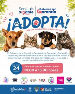 Gobierno de la Capital y asociaciones civiles impulsan Jornada de Adopción Responsable en favor del bienestar animal