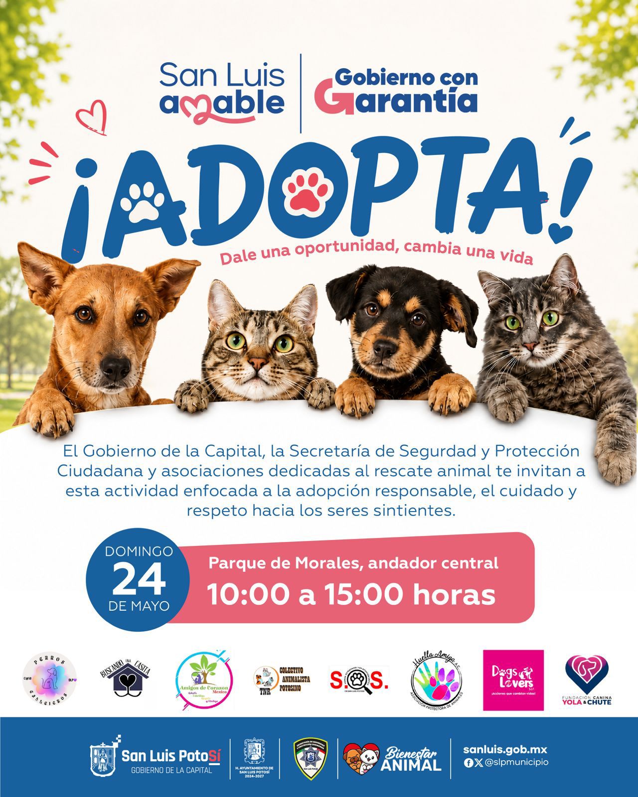 Gobierno de la Capital y asociaciones civiles impulsan Jornada de Adopción Responsable en favor del bienestar animal