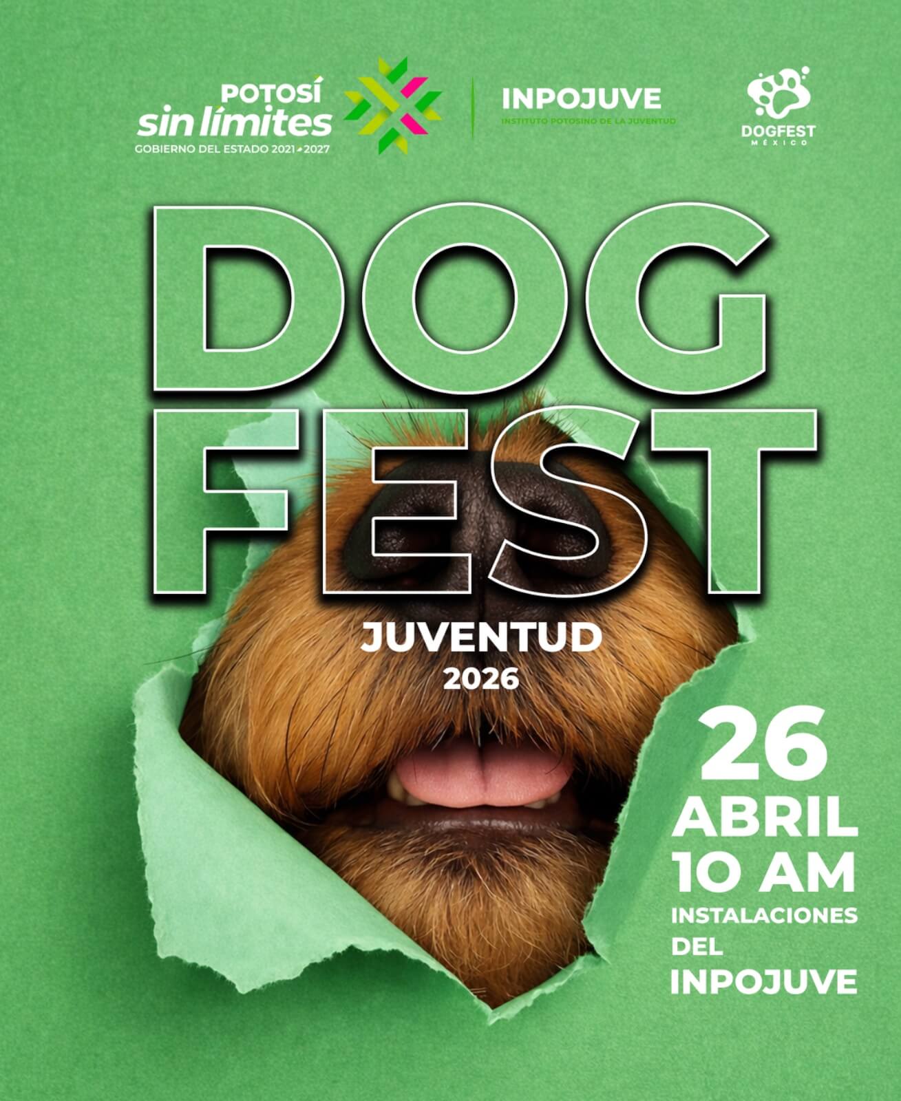 Gobierno estatal invita al Dog Fest Juventud 2026