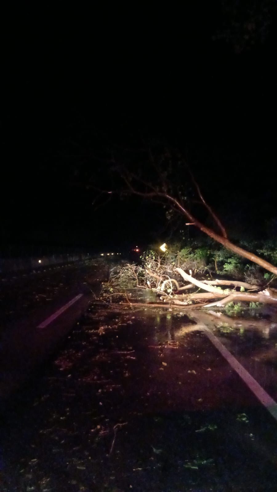 Gobierno estatal reporta incidentes menores tras lluvias en la huasteca