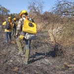 Estado atiende incendios forestales en Santa María del Río y Cárdenas