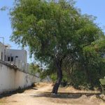“No son terrenos aislados”: vecinos buscan tumbar en el Congreso la subasta de Galindo por afectaciones ambientales