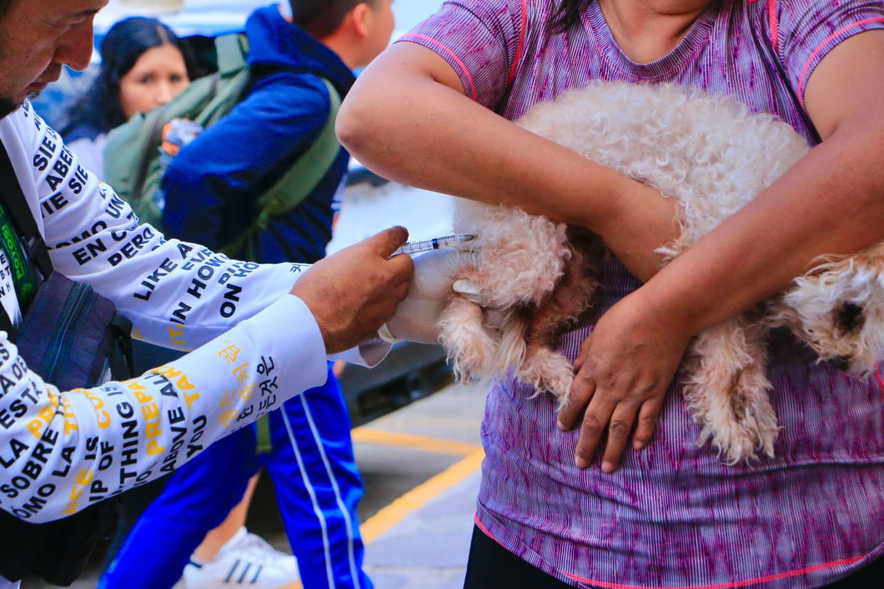 Villa de Pozos invita a vacunar a las mascotas