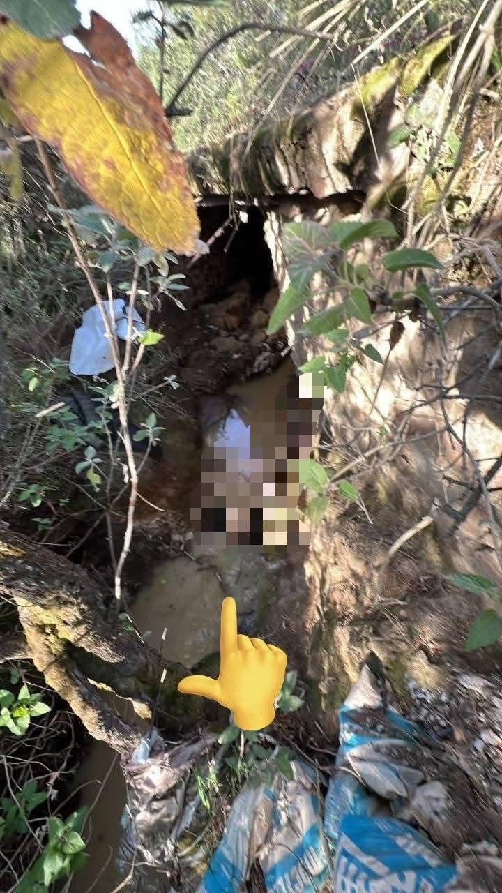 Confirman hallazgo sin vida de Blanca Adriana en Tlaxcala; acusan a personal de clínica estética en Puebla