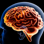 Descubren un «sistema de alcantarillado» que limpia el cerebro de residuos mientras dormimos
