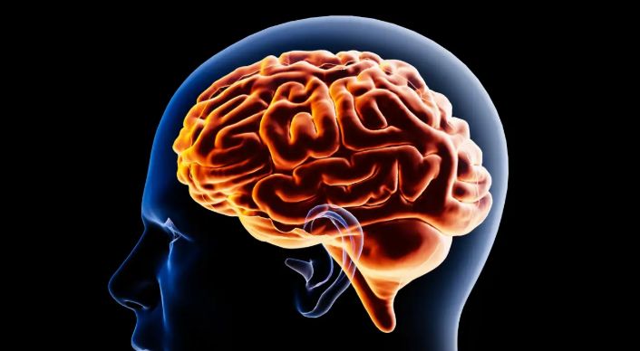 Descubren un "sistema de alcantarillado" que limpia el cerebro de residuos mientras dormimos