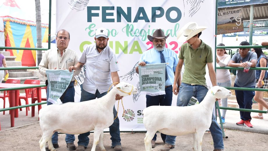 FENAPO 2026 será sede el mejor expo agroalimentaria del país
