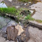 Mantiene Villa de Pozos desazolve permanente para prevenir inundaciones