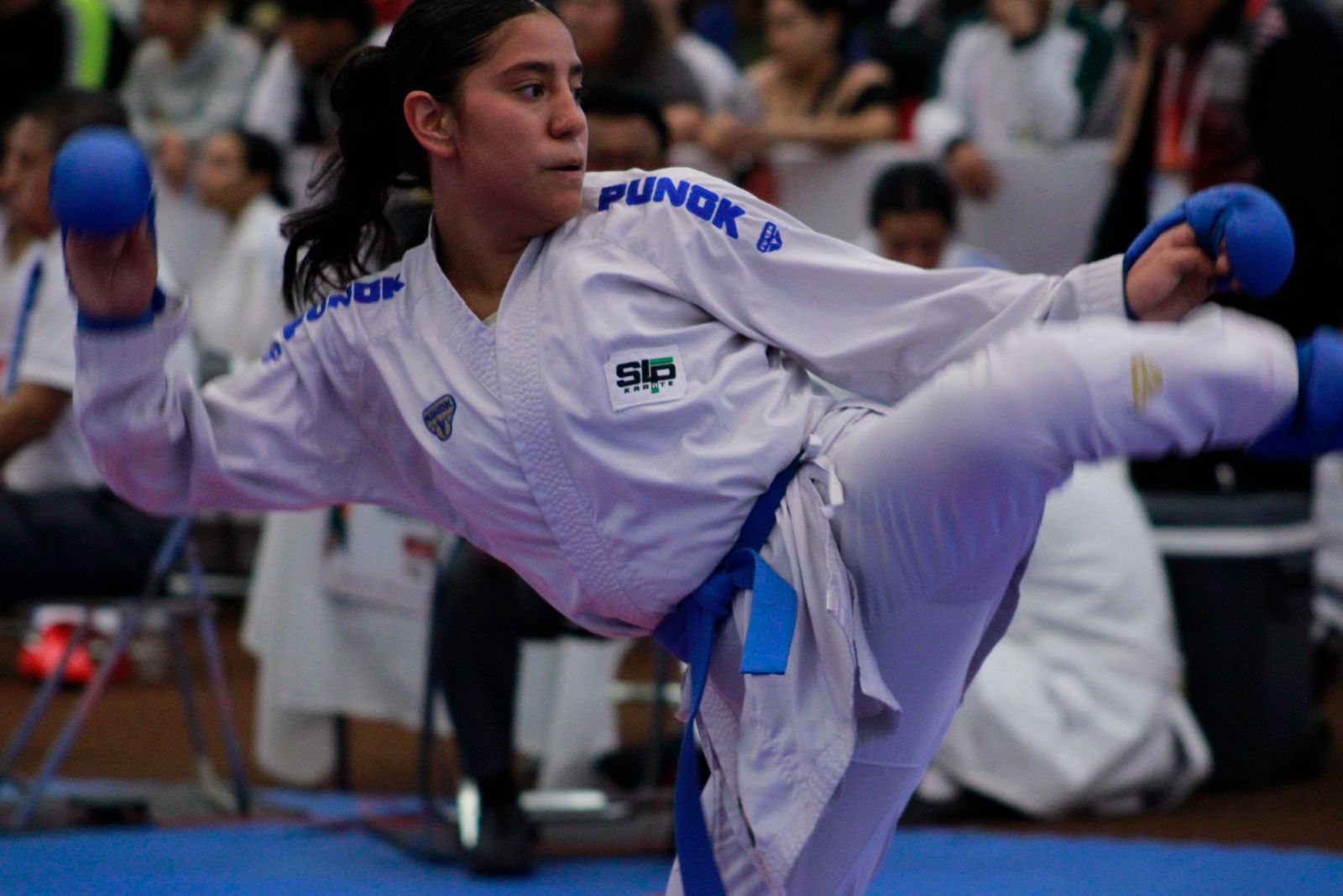 Talento potosino destaca en el karate internacional