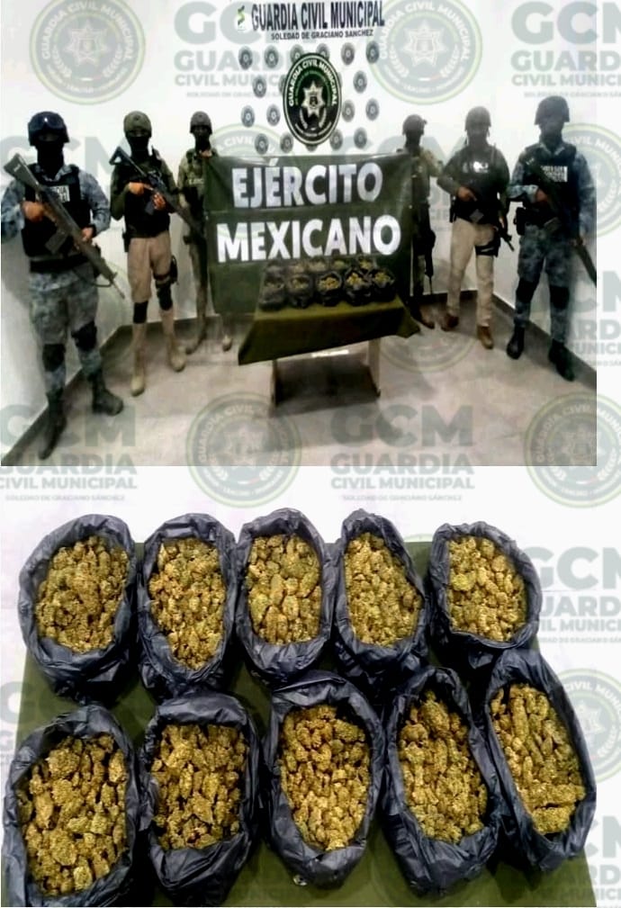 Durante operativo “Bomi”, oficiales de la GCM De Soledad aseguran tres kilos de marihuana