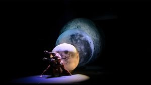 Soledad de G. S. se suma al Festival Internacional de Danza Contemporánea Lila López