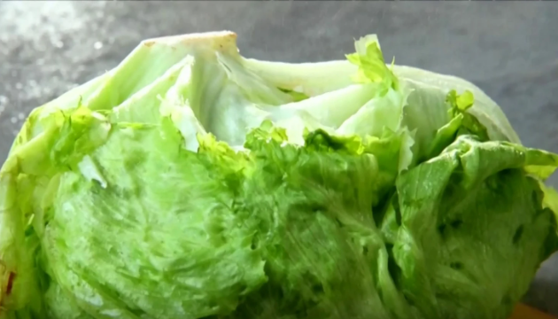 🥬🔬 Investigan brote de ciclosporiasis vinculado a lechuga de origen mexicano Las secretarías de Salud y de Agricultura de México, en coordinación con la FDA de Estados Unidos, investigan un brote de ciclosporiasis asociado preliminarmente a lechuga iceberg de la región centro de México. Aunque el rastreo comercial apunta a un proveedor que abasteció a una cadena de comida estadounidense, las autoridades mexicanas aclararon que el origen del producto no confirma que la contaminación haya ocurrido en territorio nacional. A continuación, los detalles de la investigación interinstitucional: #SaludPública #Ciclosporiasis #InocuidadAlimentaria #FDA #México