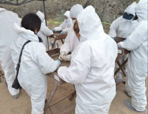 Más de 140 zonas de exterminio en SLP y 25 sin procesar: buscadoras alertan que la búsqueda sigue a medias