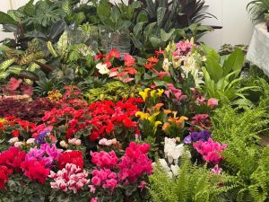 FENAPO 2026 estrena feria de las flores con productores de distintos estados