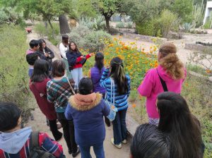 Jardín botánico El Izotal de la UASLP acerca a la comunidad a los aromas, sabores y usos tradicionales del cempasúchil