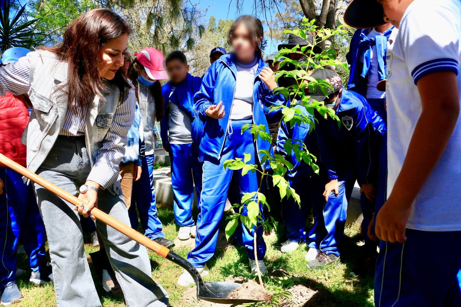 Villa de Pozos reverdece el corazón de su cabecera municipal con nuevos árboles